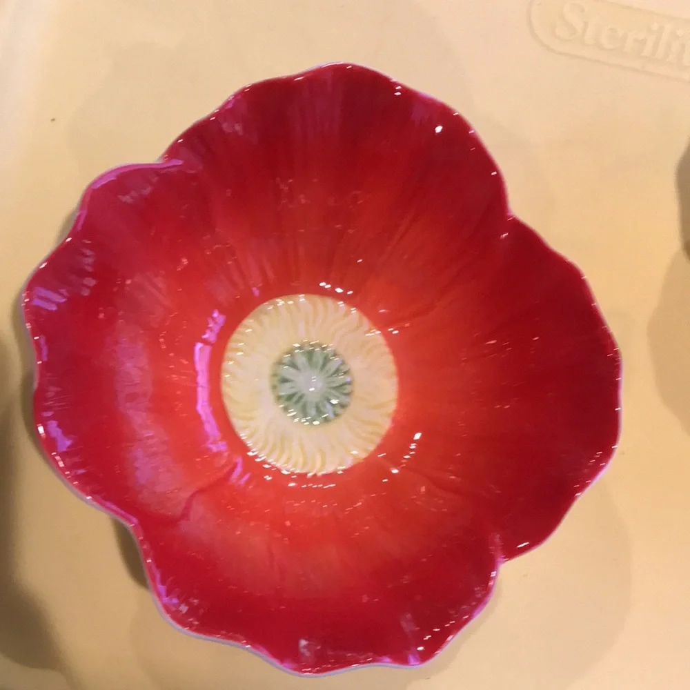 PIER 1 Bowls Red Yellow Flower Bowls Ice Cream Dishes Set of 2
